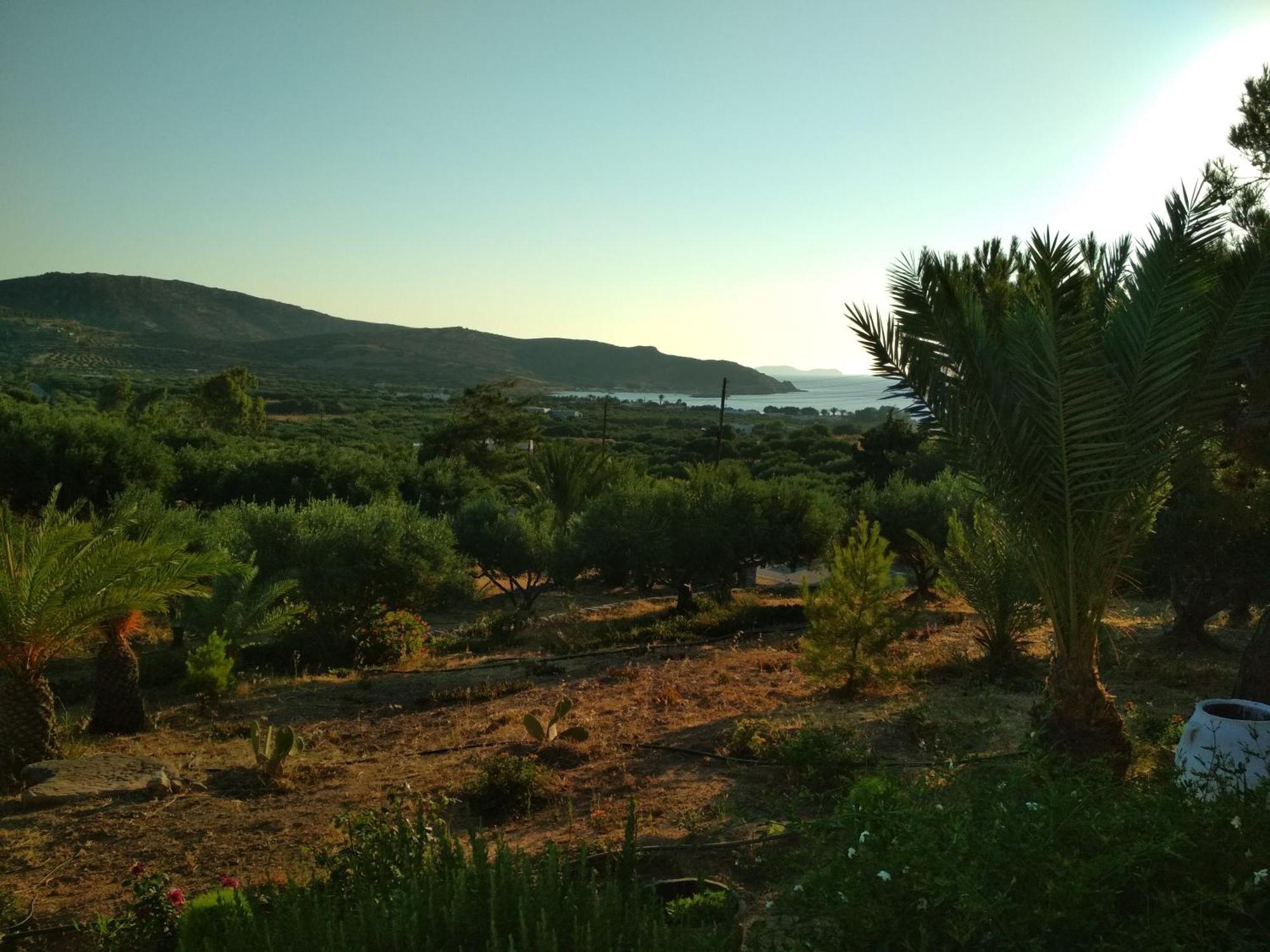 Porto Heli Apartments 팔레카스트론 외부 사진